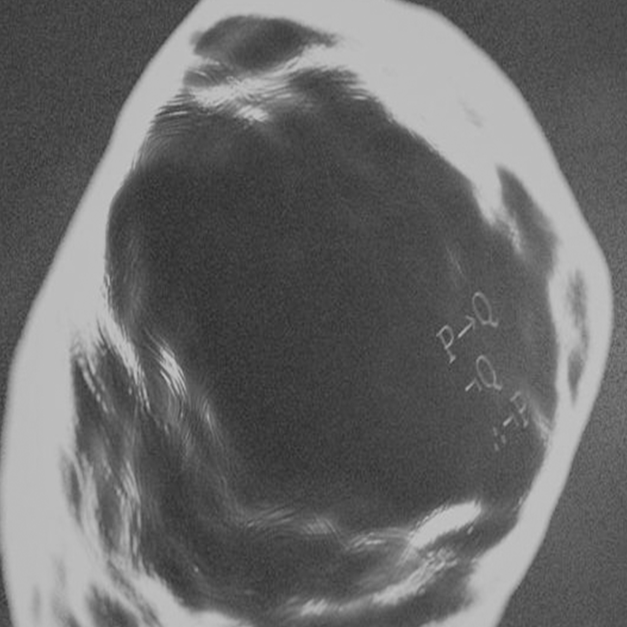 Exploration métaverse